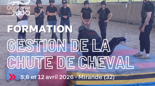 Nouvelle formation à destination des professeurs de judo !